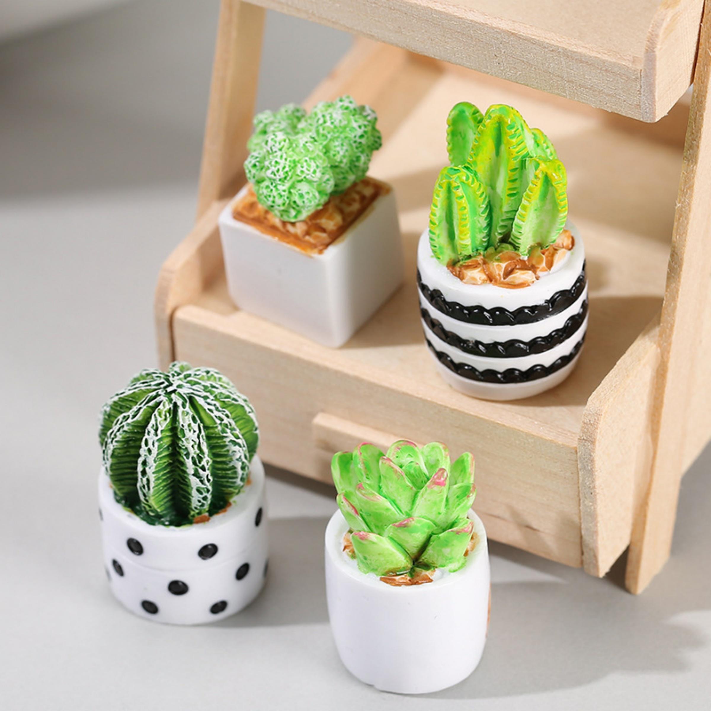 Succulent Set - Набор из 4-х миниатюрных суккулентов в