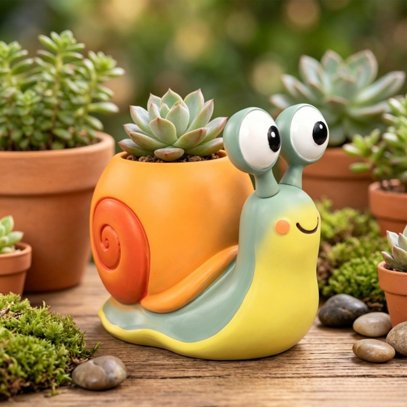 Кашпо в форме улитки, подставк – обзор и цена Succulent Set