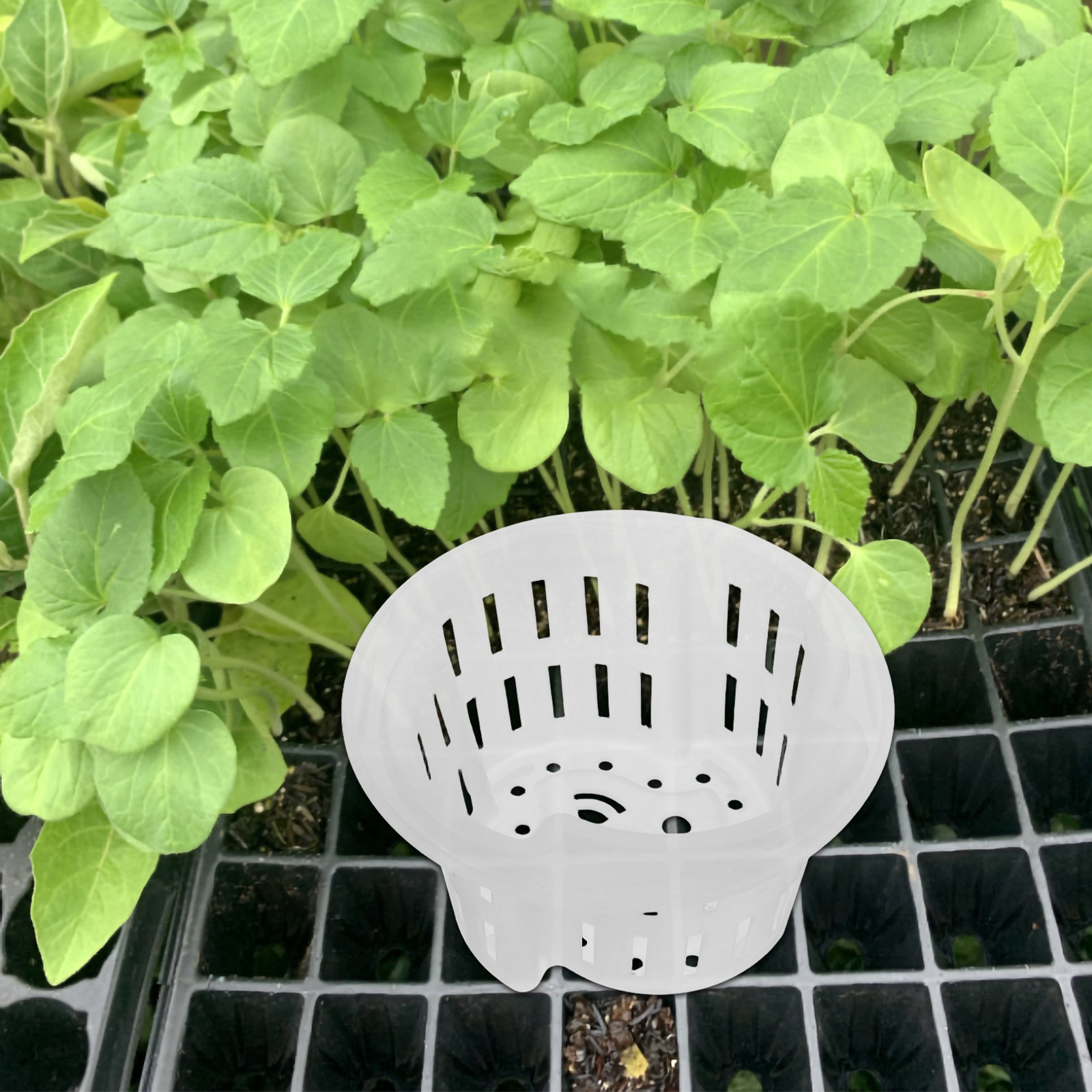 4 шт. утолщенных дышащих пласт – обзор и цена Plant Pot