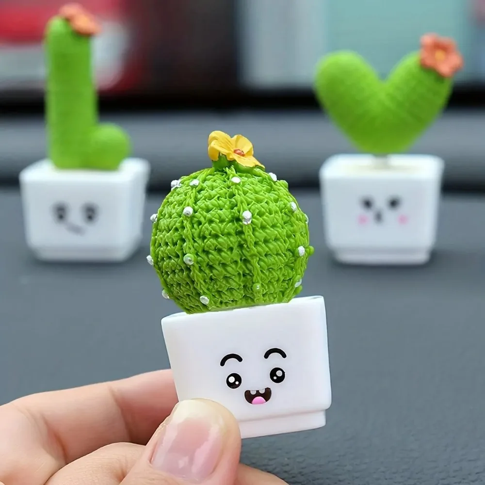 Набор из 4 миниатюрных суккуле – обзор и цена Succulent Set