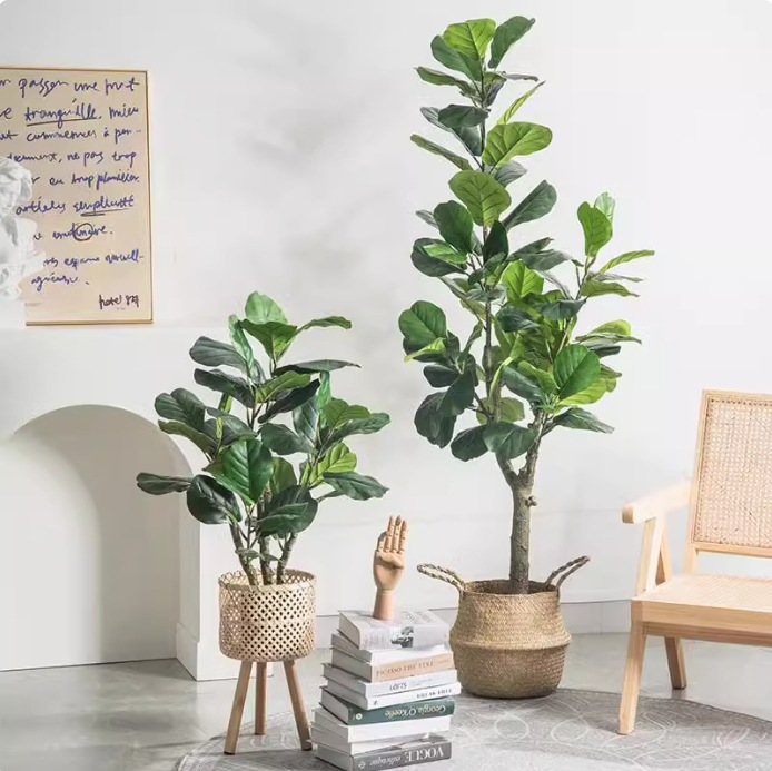 Искусственное пластиковое раст – обзор и цена Fiddle Leaf Fig