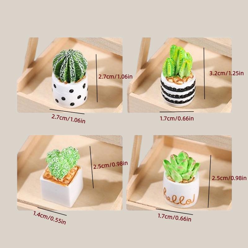Набор из 4-х миниатюрных сукку – обзор и цена Succulent Set