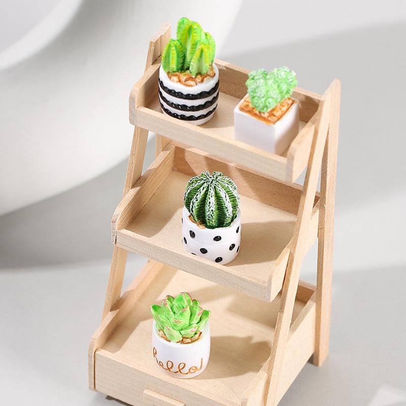 Набор из 4-х миниатюрных сукку – обзор и цена Succulent Set