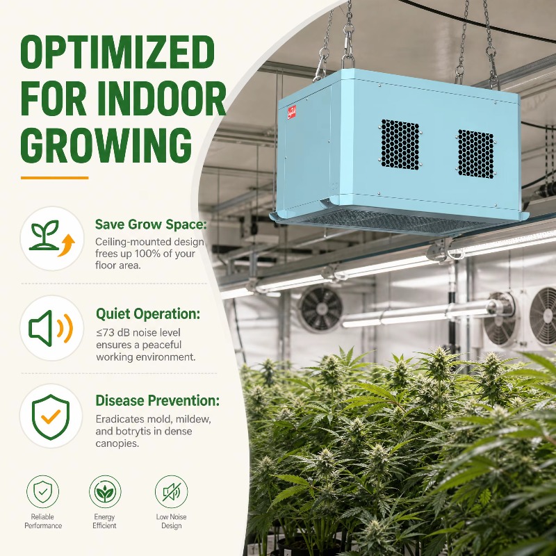 Мощный осушитель воздуха для т – обзор и цена Indoor Plants