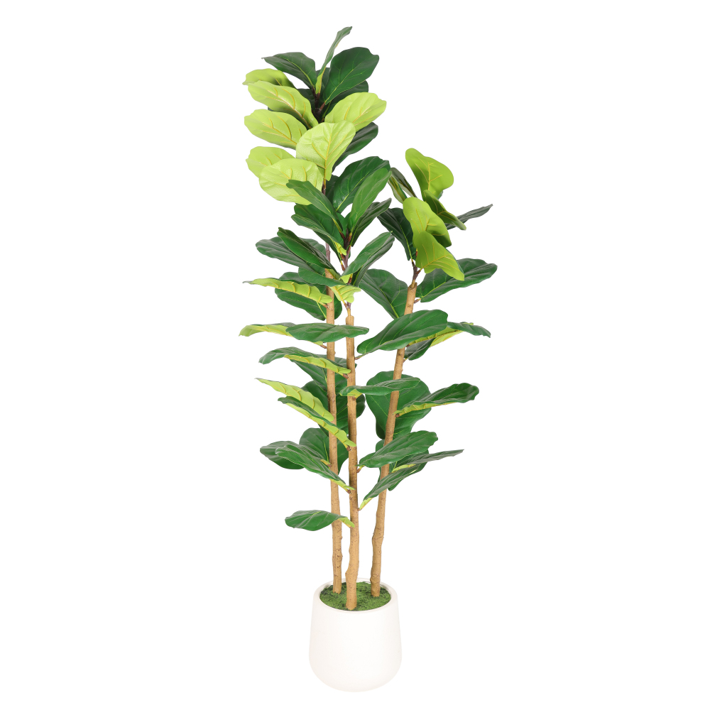 Искусственное дерево фикуса-ли – обзор и цена Fiddle Leaf Fig